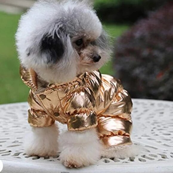 Chic Dog Rose Gold colored waterproof 4 legged puffy winter coat M - Picture 3 of 7